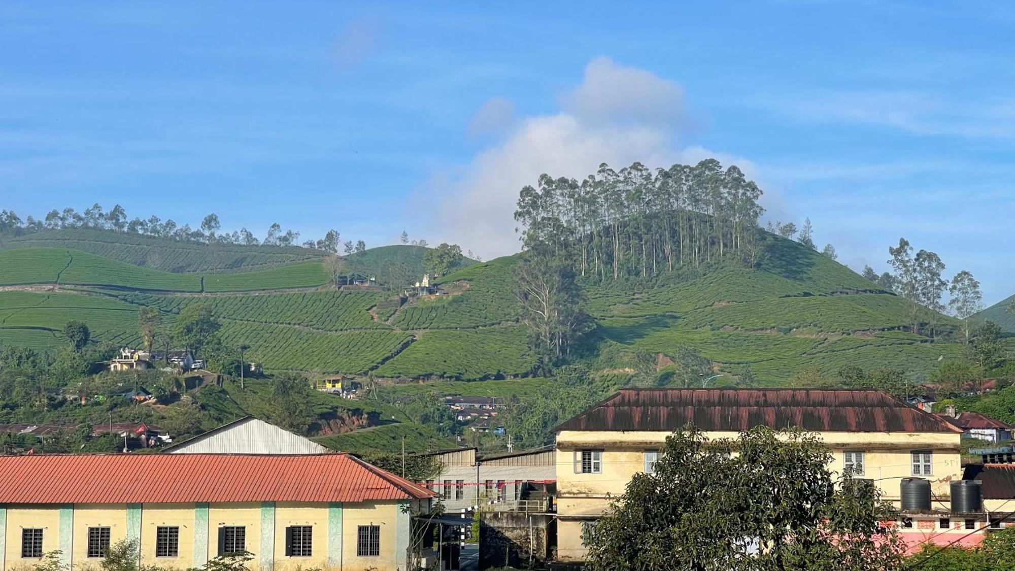 Green Ridge مونار المظهر الخارجي الصورة